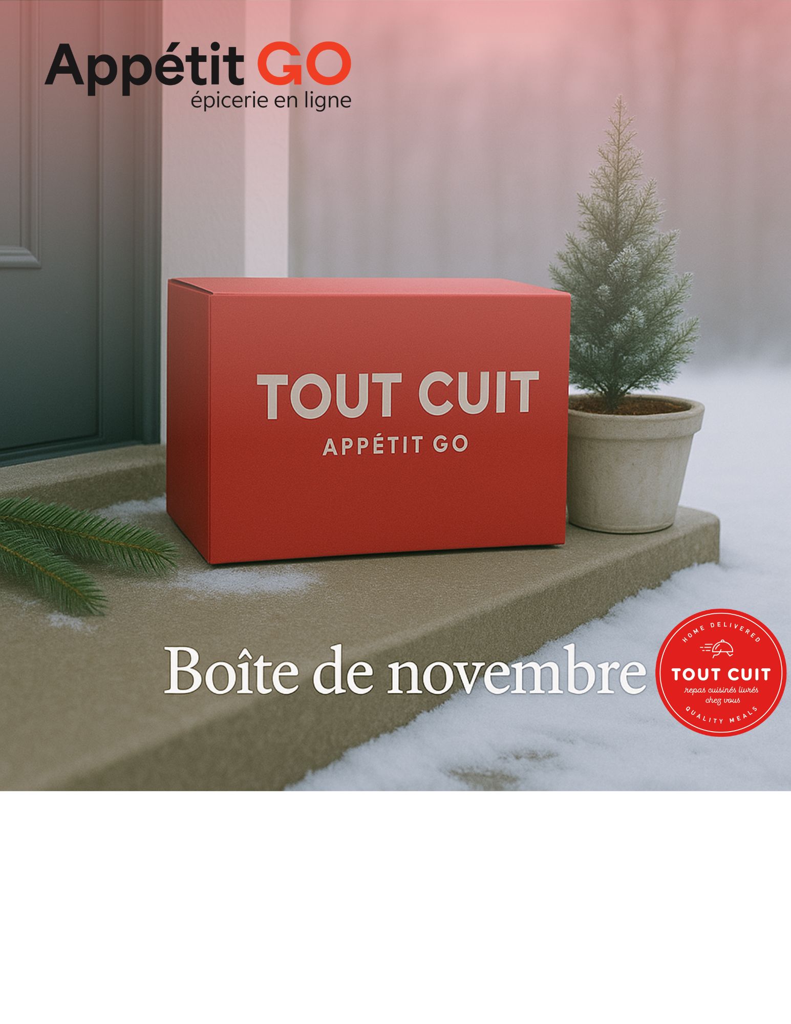 Comme à tous les mois nous avons une boîte thématique pour le mois encouru. Voici donc la boîte thématique repas de novembre – Tout Cuit